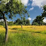 Hotel Konsumhotel Dorotheenhof