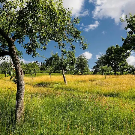 מלון Konsumhotel Dorotheenhof