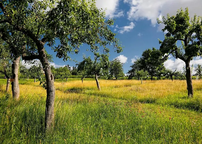 酒店 Konsumhotel Dorotheenhof