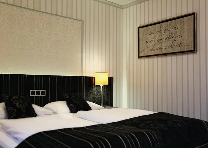 酒店 Konsumhotel Dorotheenhof 3*